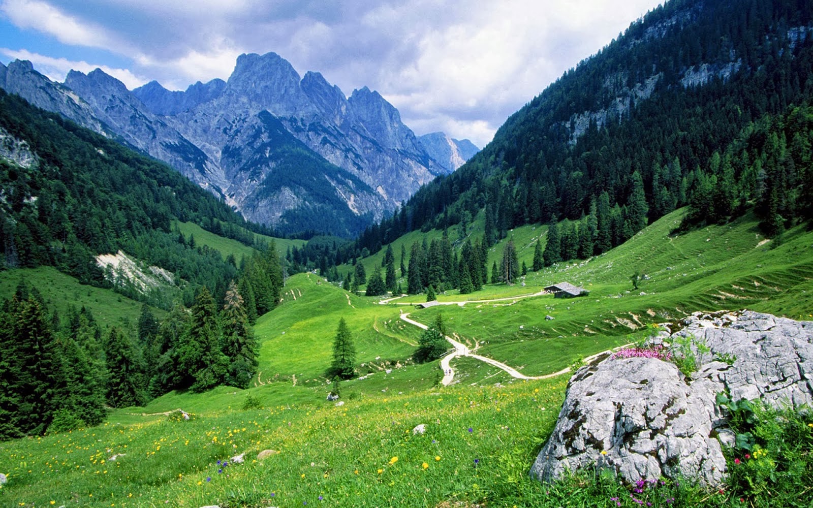Explore the Lush Green Landscapes of Swat Valley